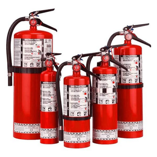 FIRE EXTINGUISHER 10LB – Absolute Autoguard